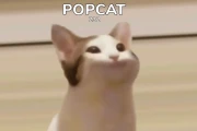 Popcat: The Data Behind Its Unexpected Virality